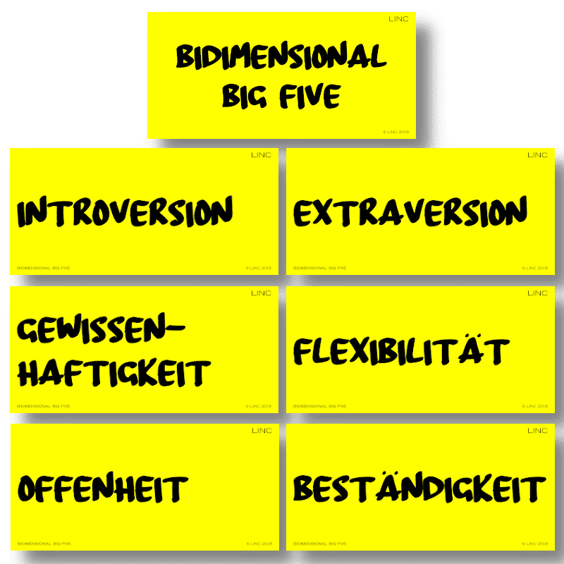 Linc Moderationskarten BIG FIVE