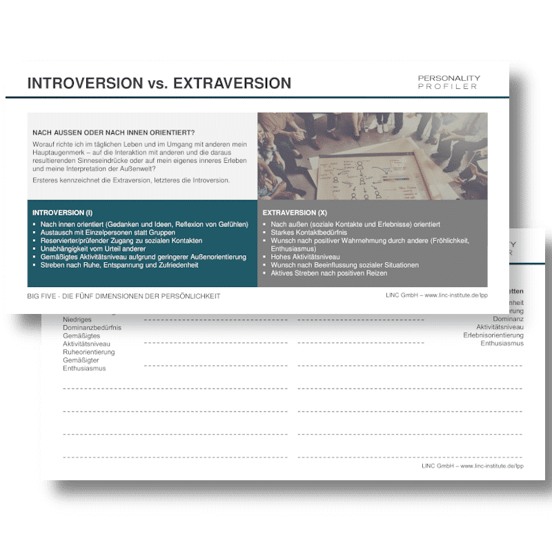 Linc Working Cards Big Five