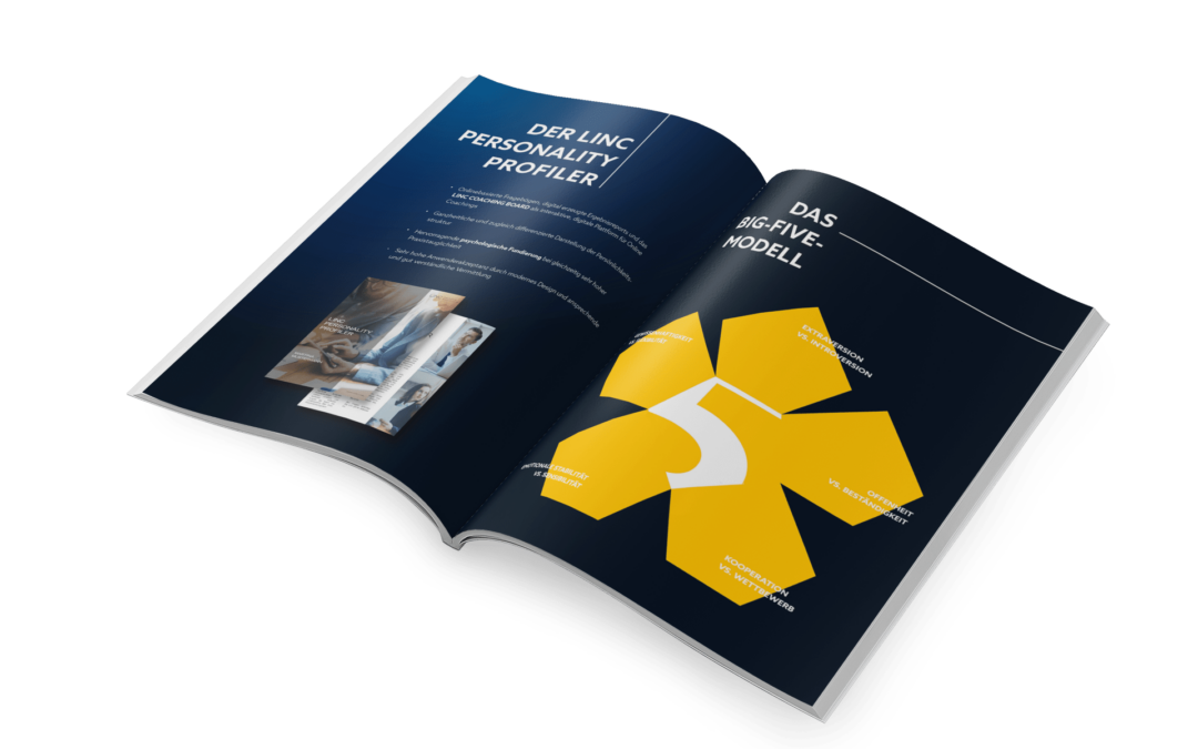 Das Big-Five-Modell in Print-Format