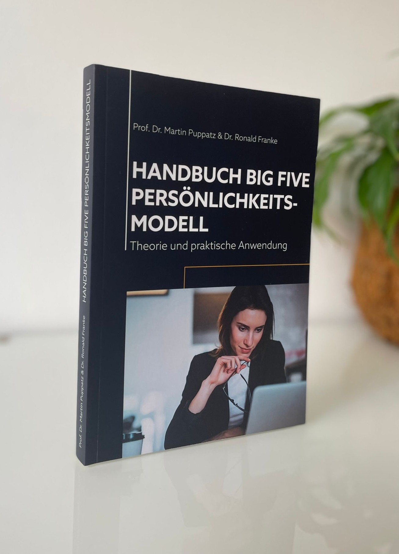 Buch "Handbuch Big Five Persönlichkeitsmodell" (Printausgabe) – Bild 2